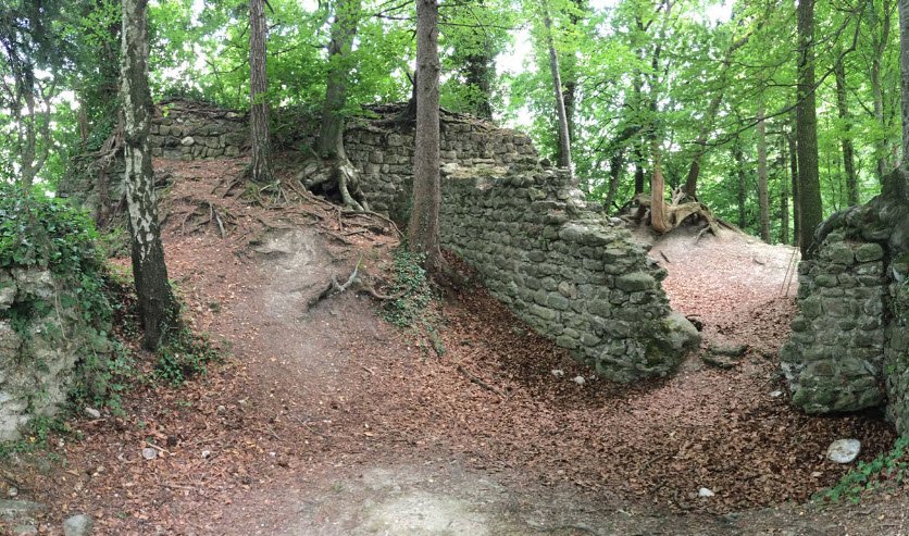 Ruine Heuberg, Kradolf-Schönenberg, Switzerland, Switzerland